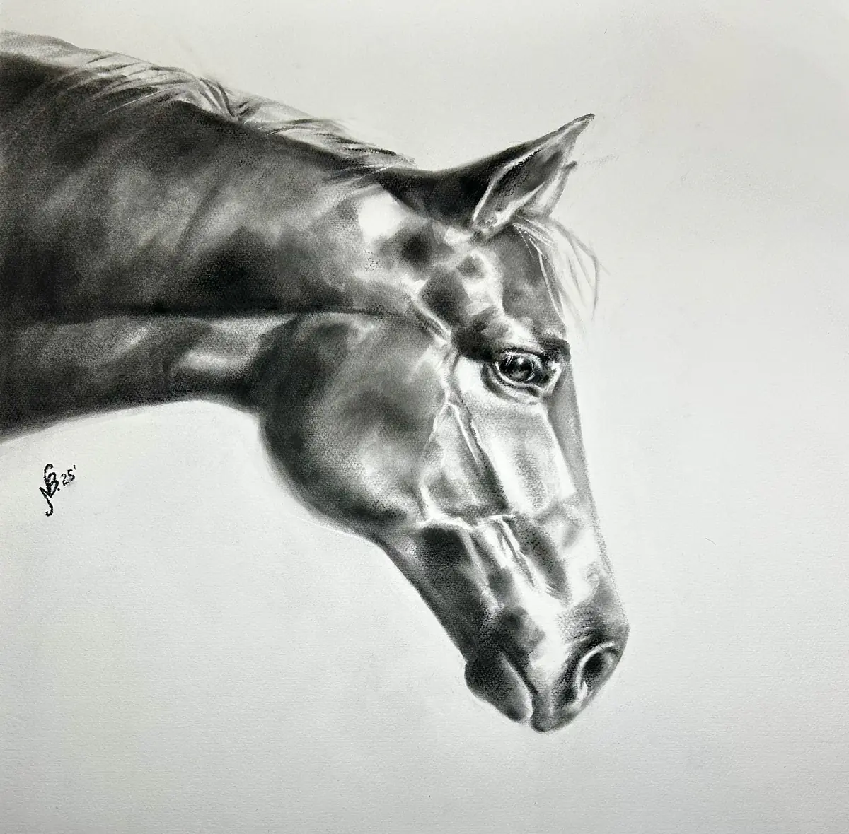 Svart häst – realistiskt hästporträtt i pastell - Akvarell - Contemporary - 50×50 cm av Nadezda Beletskaya